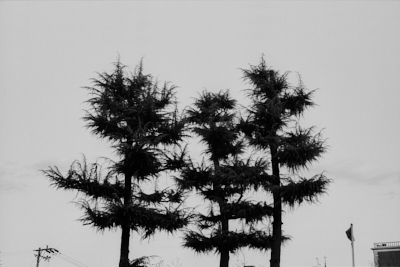 일반 이미지